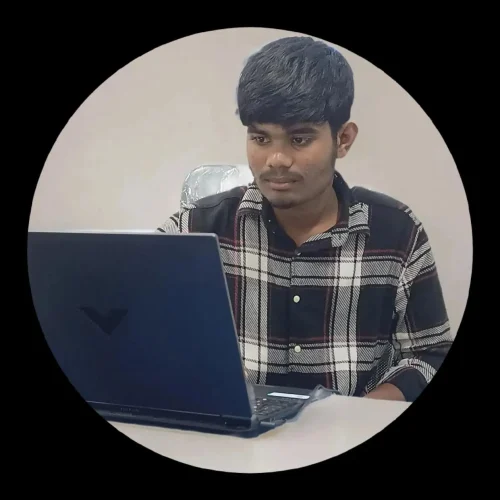 seo-expert-in kerala-swadiq freelance digital marketing strategistin kerala my assistant is client working